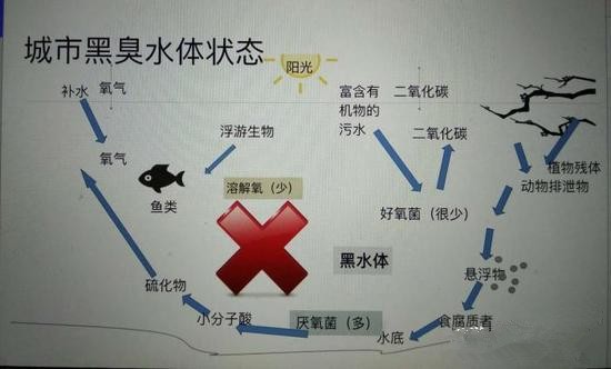 江蘇億元投資治污新技術(shù) 石墨烯能否治理黑臭水體？