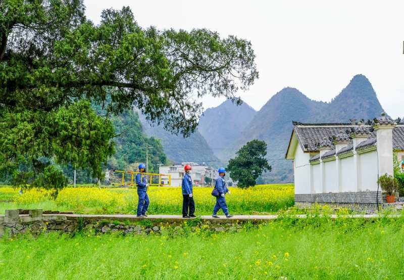 平塘供電局：“網(wǎng)格化”服務(wù)，護(hù)航“菜籃子”