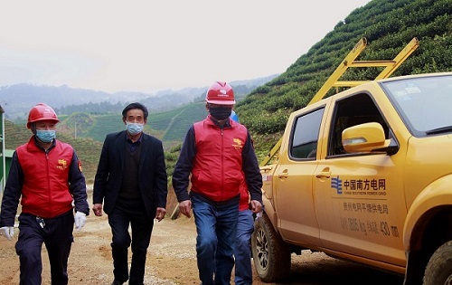 平塘供電局：“加減法”同構(gòu)服務(wù)，護(hù)航“貴州春茶第一壺”