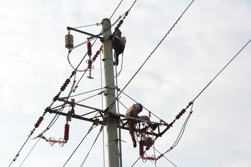 國網霞浦供電公司加裝線路避雷器，保障兩節(jié)期間電網可靠性