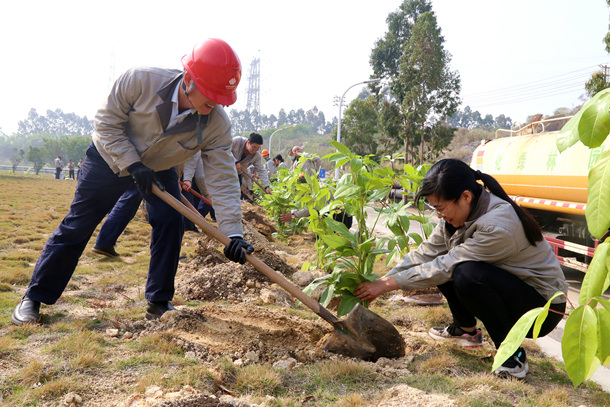 國能（泉州）熱電有限公司植樹活動共建美好家園