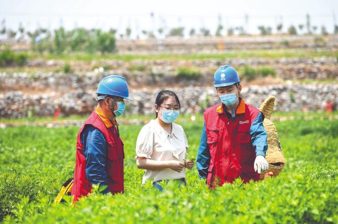 國網淄博供電公司改造升級電網 為村民增收和企業(yè)發(fā)展提供優(yōu)質服務