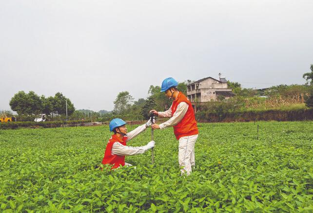 重慶璧山：黨員設(shè)崗定責 服務(wù)產(chǎn)業(yè)發(fā)展