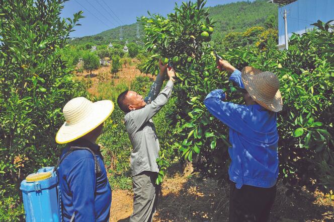 王國洲：把村事當家事，把村民當親人