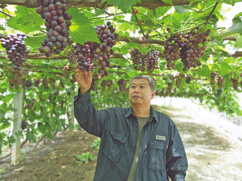 王軟貞：心系小山村 為民辦實(shí)事