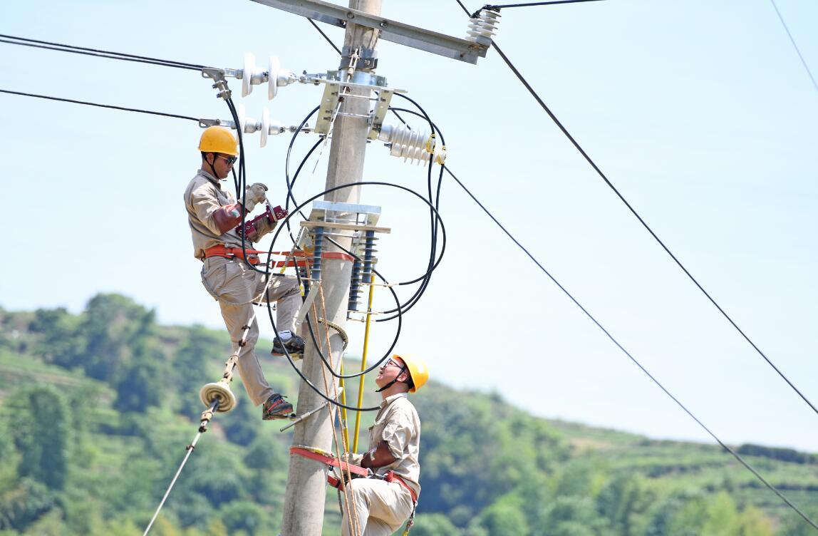 國網福鼎市供電公司：帶電作業(yè)戰(zhàn)高溫 迎峰度夏保供電