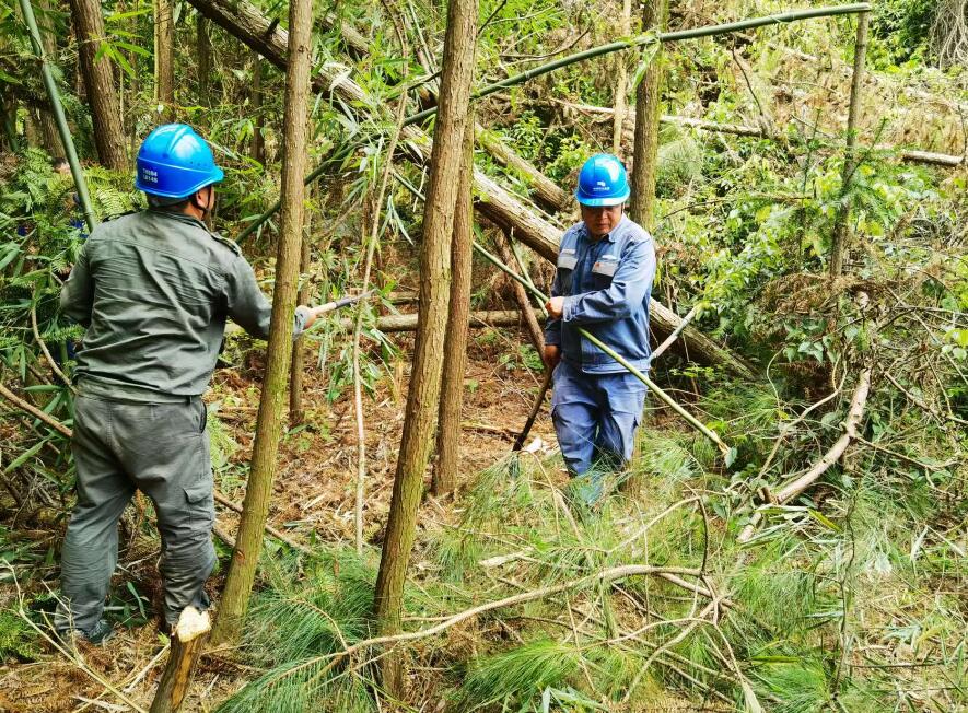 南方電網(wǎng)荔波供電局線路憂患如“猛獸”，通道清通要爭先