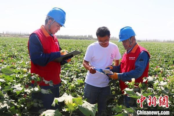 新疆啟動(dòng)2023年秋糧生產(chǎn)供電服務(wù)保障專項(xiàng)行動(dòng)