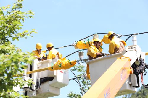 國網壽寧縣供電公司“雙車共舞”聯合帶電作業(yè)保障客戶用電