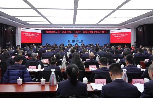 國能新疆能源召開二屆一次職代會、工代會、表彰會暨2025年工作會