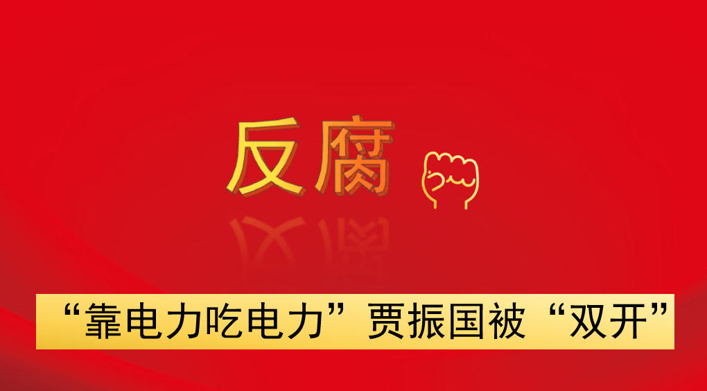 “靠電力吃電力”  賈振國(guó)被“雙開(kāi)”